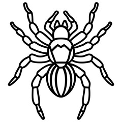 Metallic Tarantula line art vector