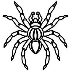 Metallic Tarantula line art vector