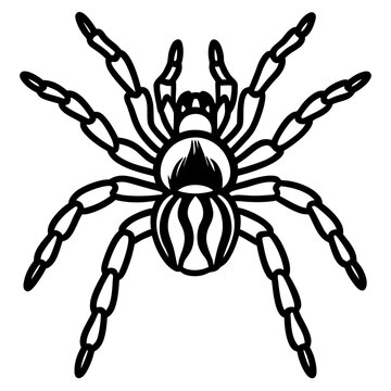 black spider outline drawing clip art preview