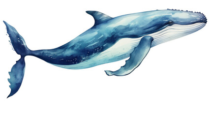 Obraz premium Watercolor Whale Clipart — Hand-Painted Ocean Animal Illustration on Transparent Background