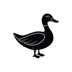 duck vector illustration