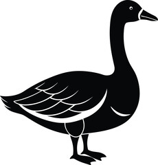 duck isolated on white