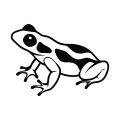 frog on white background