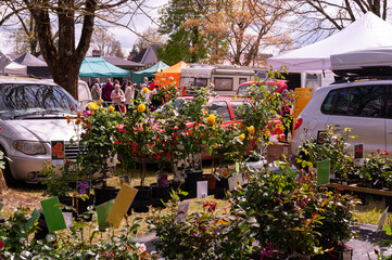flower market in estonia
