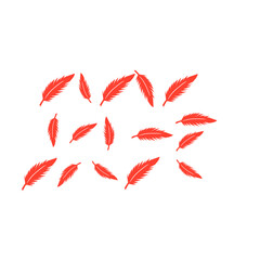red feather pattern background
