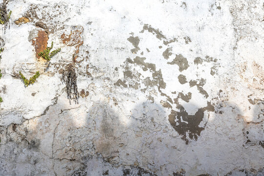 pared de cemento vintage pintada de blanco y deteriorada por el paso del tiempo con peque&ntilde;as vegetaci&oacute;n verde entre sus rupturas