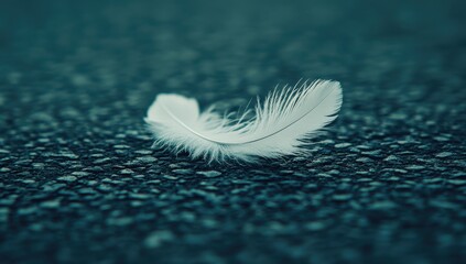 Single white feather on dark textured surface