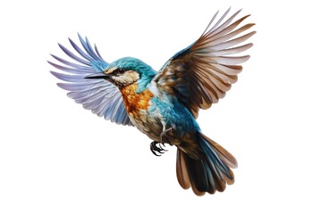 Fototapeta premium Bird (JPG 300Dpi 10800x7200)