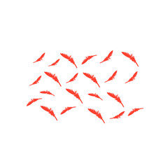 red feather pattern background