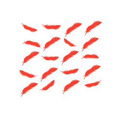 red feather pattern background © metdi