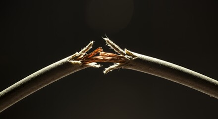 Broken Electrical Cable Copper Wire Insulation