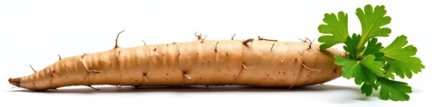 Large plantain root, isolated white background, photography, isolated