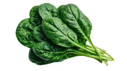Obraz premium Fresh Spinach Leaves: A close-up shot of fresh, vibrant green spinach leaves, showcasing their texture, color, and overall freshness.