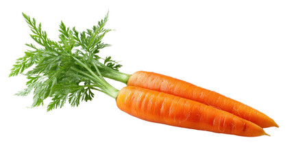 Vibrant Carrot Duet: A fresh, bright, and crisp carrot, captured in a high-angle shot. These vegetables exude natural goodness and nutritional value. 