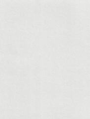 White Paper Texture