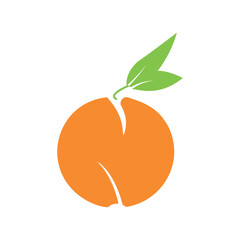 orange fruit vector illustration