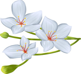 Tung blossom flower design