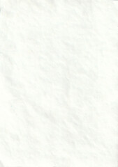 White Paper Texture
