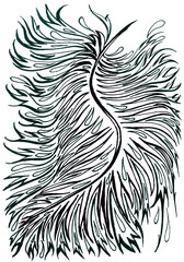 Monochrome illustration for coloring. Isolated cartoon image. Tropical plume for a tattoo or fashion design. Tribal feather for the Brazilian carnival. Ethnic backdrop with soft small drops of water.