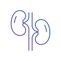 Kidney Vector icon