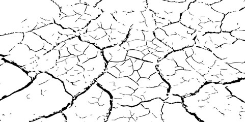 The white background features irregular patterns resembling parched earth.Gray textured background with blank space.Cracked white background with a dry, textured style.