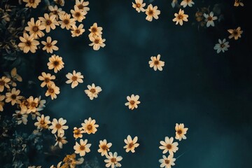 Delicate blossoms scattered across a dark surface.