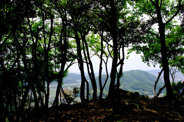 Obraz premium 兵庫県・たつの市屏風岩、鶴觜山の山頂から