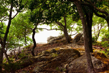 兵庫県・たつの市屏風岩、鶴觜山の山頂から
