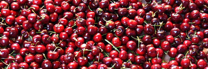 Panorama of fresh ripe cherries on a greengrocers stall at a food market