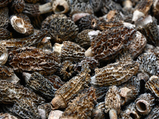 Closeup of Morels on a greengrocers stall at a food market