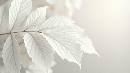 Autumn frozen leaves on a branch display nature's delicate beauty and intricate texture in vibrant yellow and orange hues