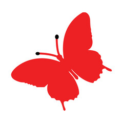 Butterfly icon