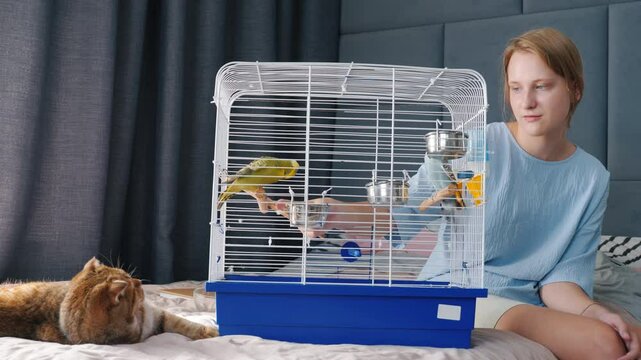 Smiling girl interacts with parakeets in a cage while a curious cat lounges nearby, watching the playful scene unfold