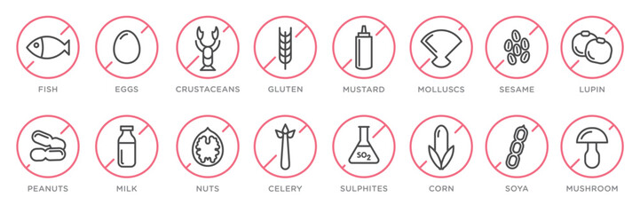 Food allergy icons. Basic allergens and diet line icons vector set. Isolated on white background