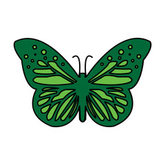 Butterfly icon