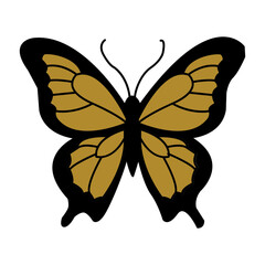 Butterfly icon