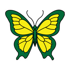 Butterfly icon