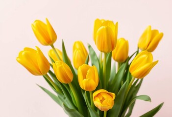 Obraz premium A cluster of vibrant yellow tulips, blossoms fully open, set against a clean, solid backdrop, flat lay, bloom