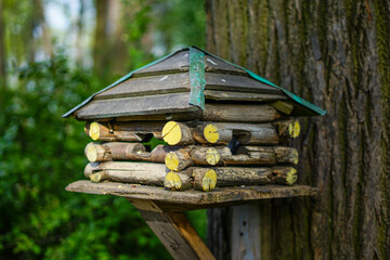 wooden bird house