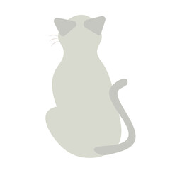 Minimalist back view of sitting cat