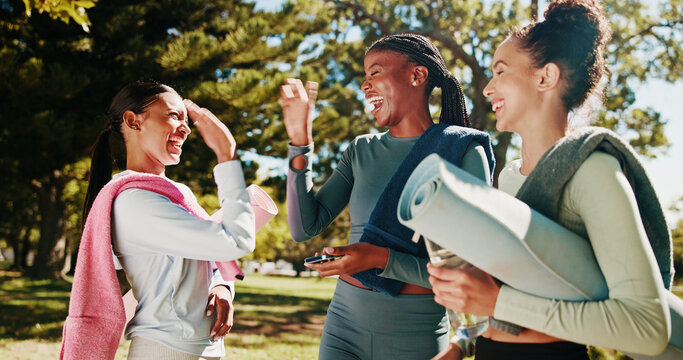 Friends, yoga and women high five in park for workout, exercise and practice for mobility in morning. Nature, pilates class and people with gesture celebrate for wellness, health and wellbeing