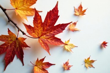 Fototapeta premium Freshly fallen winter leaves on white surface, plant, brown