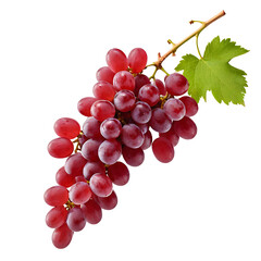 Fototapeta premium A fresh bunch of plump red grapes with a green leaf is isolated on a white background. This image is perfect for health food content, drink menus, or illustrating themes of freshness and organic produ