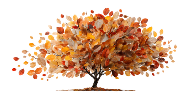 a composition of autumn leaves shaped like a tree, isolated on white background