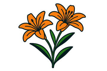 Orange lilies bloom in a modern vector illustration showcasing vibrant petals and lush green leaves