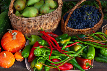 Close up colorful farm harvest with assorted garden vegetables and fruits