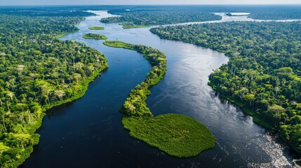 The Amazon River winding through Anavilhanas National Park, with floating islands and lush vegetation on both sides, creating a serene and pristine landscape.
