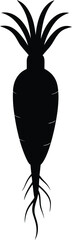 vector illustration of a black spider