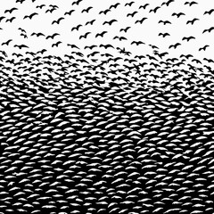 abstract schools of birds vector illustration design 