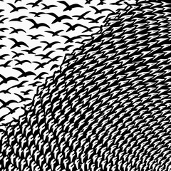 abstract schools of birds vector illustration design 